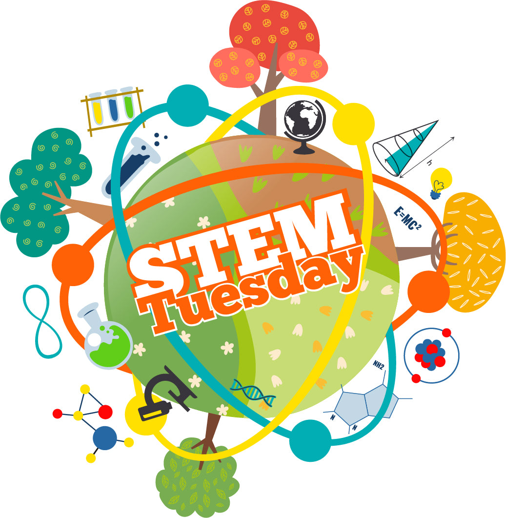 STEM Tuesday —  STEM Activity Books– Book List