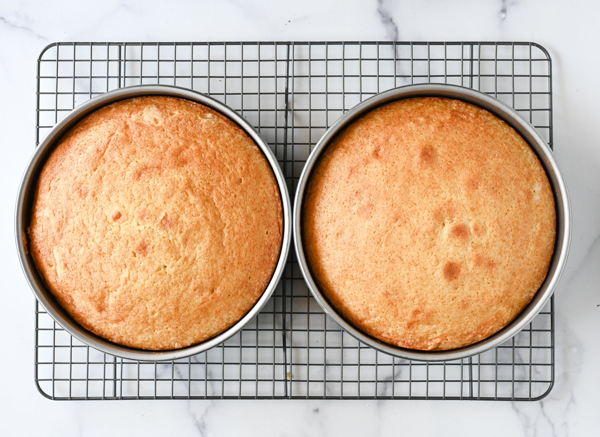 Cake Pans to Cookie Sheets: 16 Essential Baking Pans