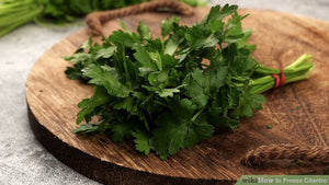 How to Freeze Cilantro